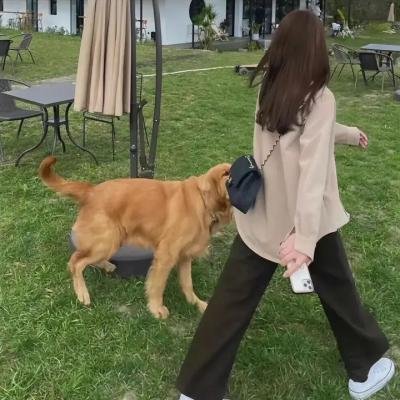 怪胎、先知和女巫的新圣餐